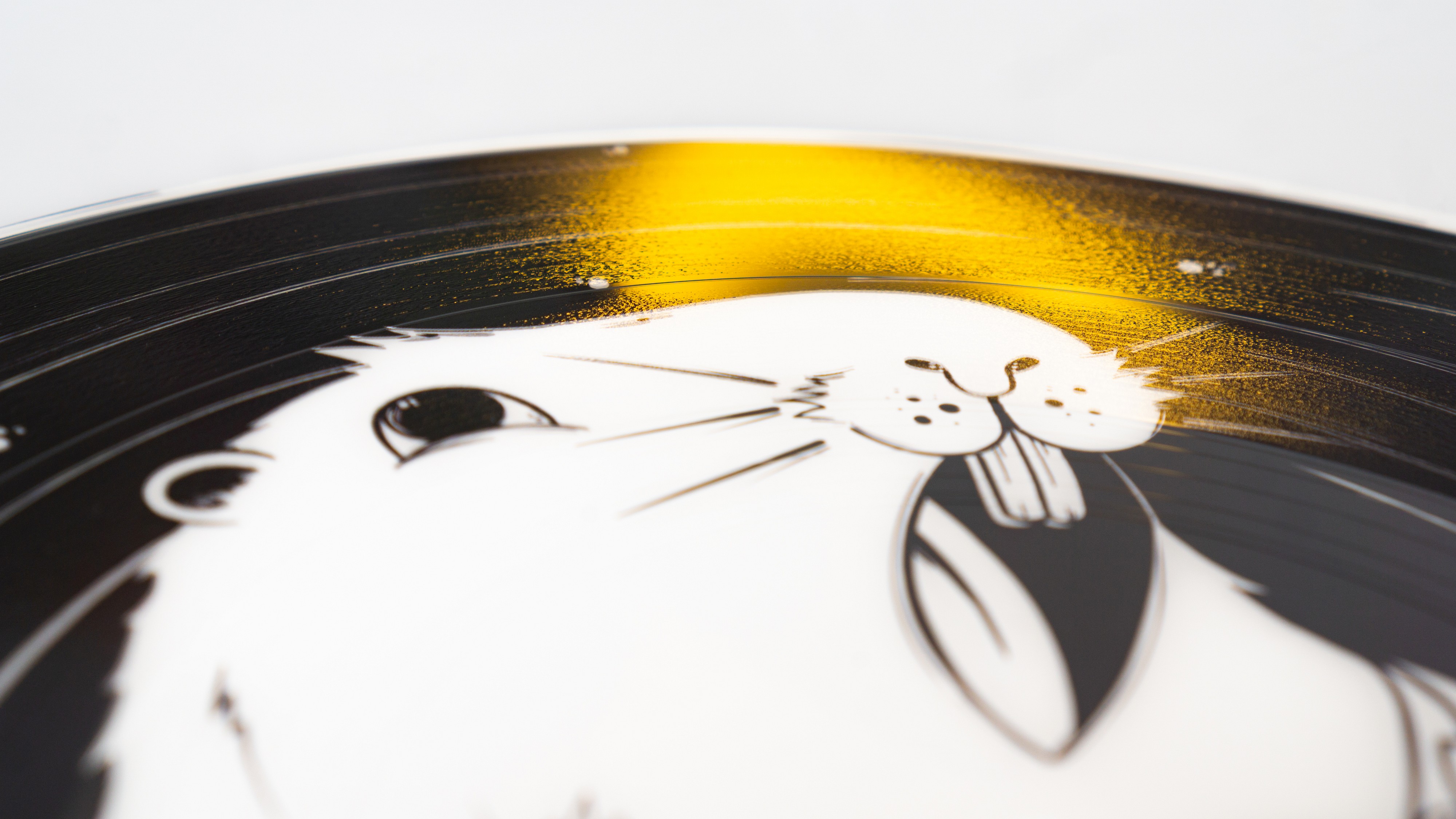 Custom Picture Disc Vinyl